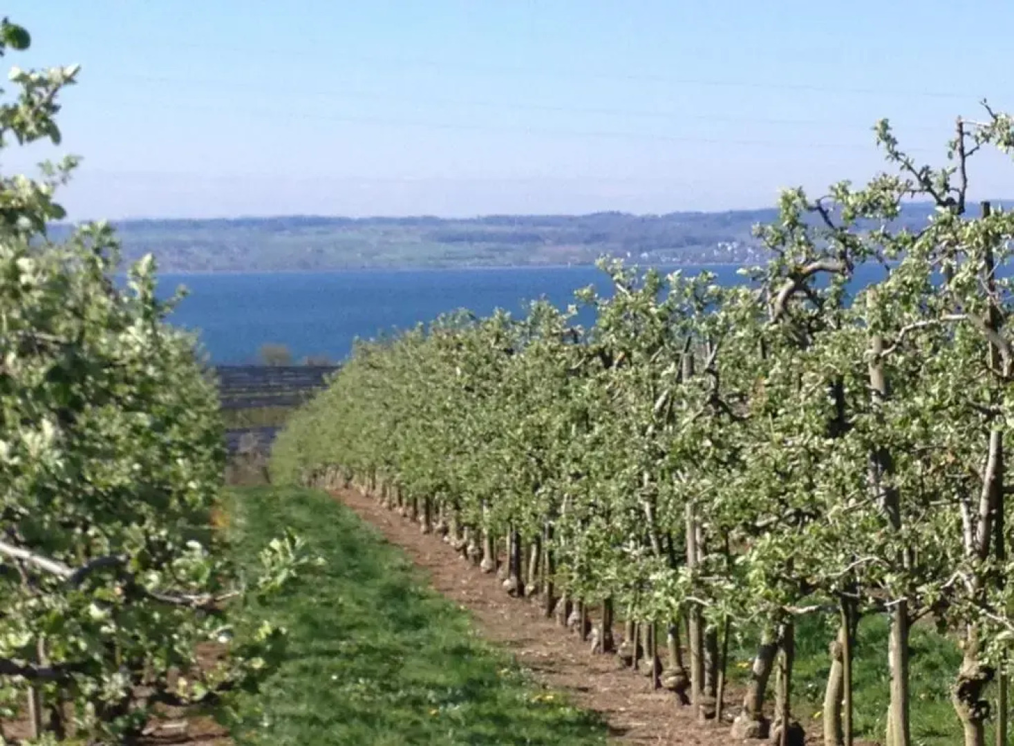 Gästezimmer Kippenhausen