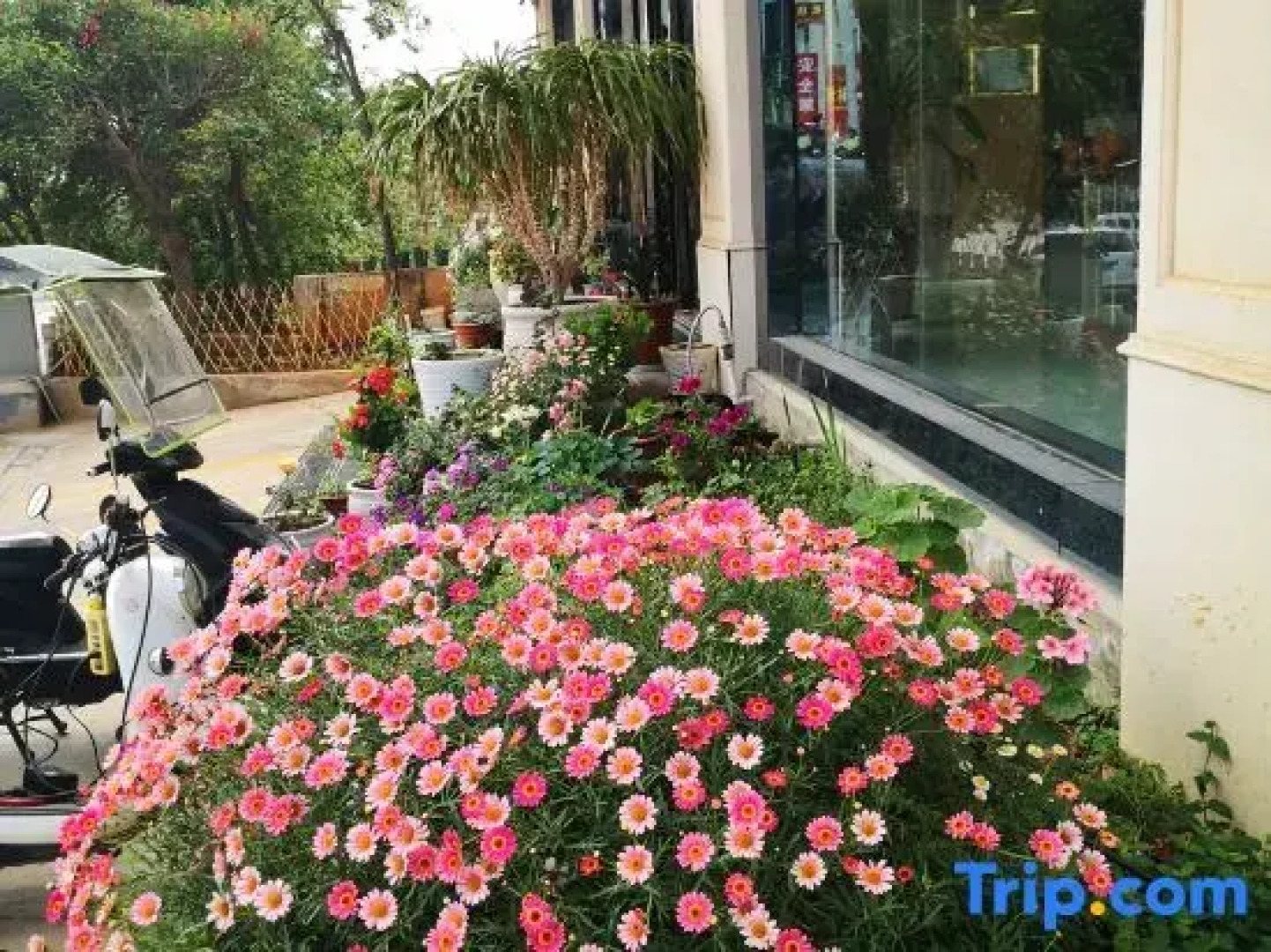 258 Bund Theme Hotel