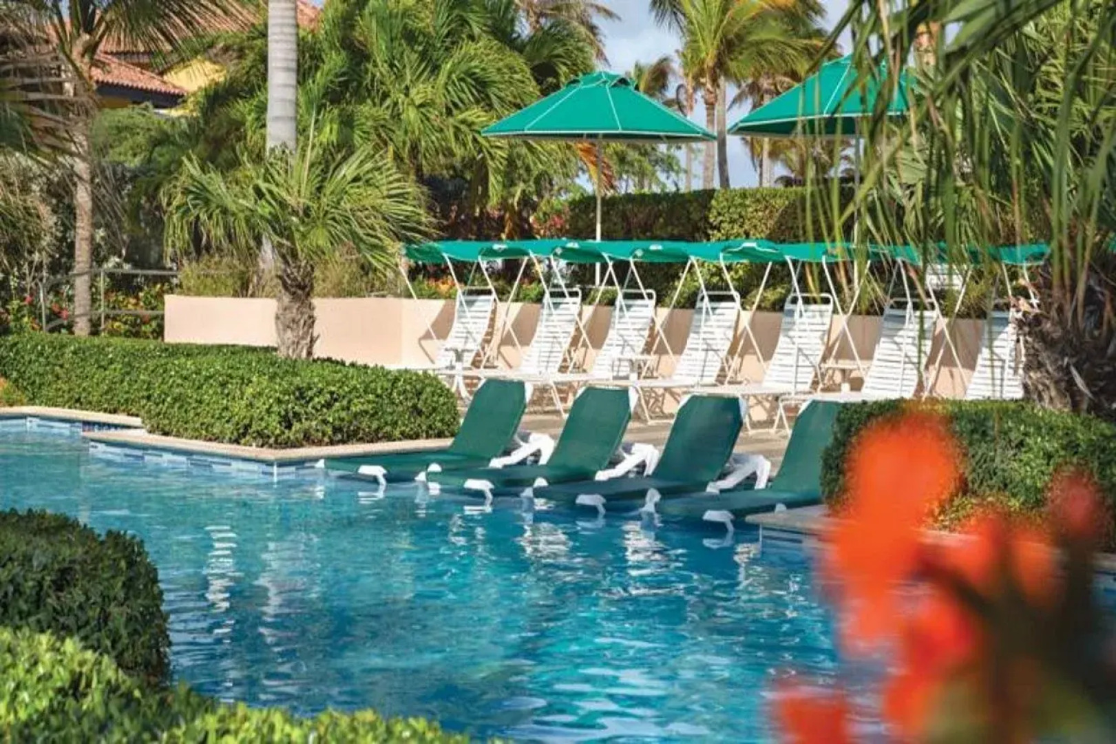 Marriott's Aruba Surf Club