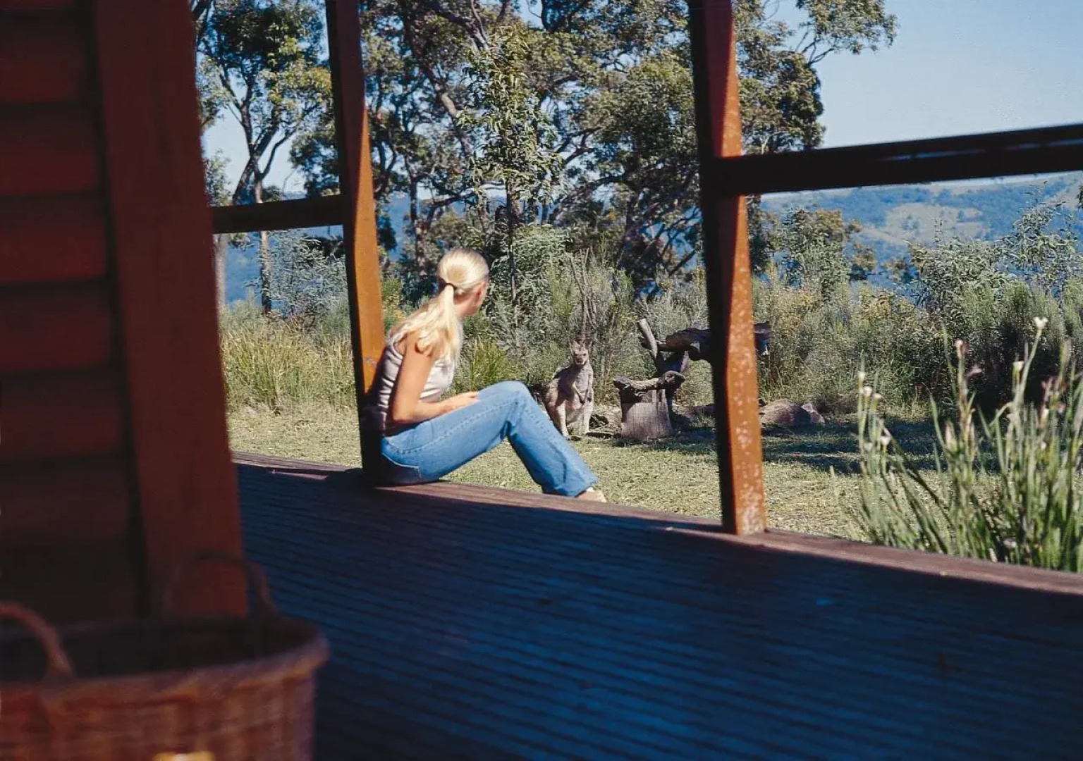 Eaglereach Wilderness Resort