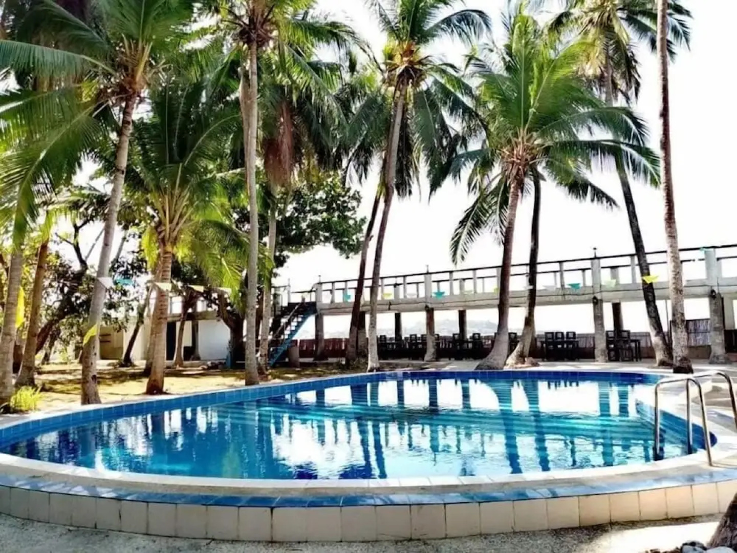 The Pelicans Castaway