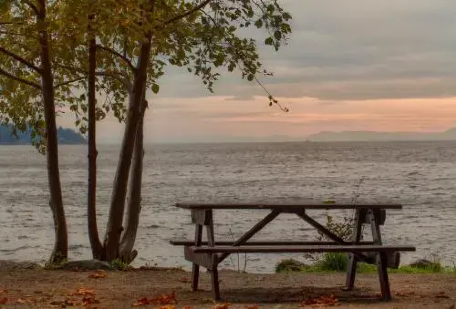 Whytecliff Park place near ocean