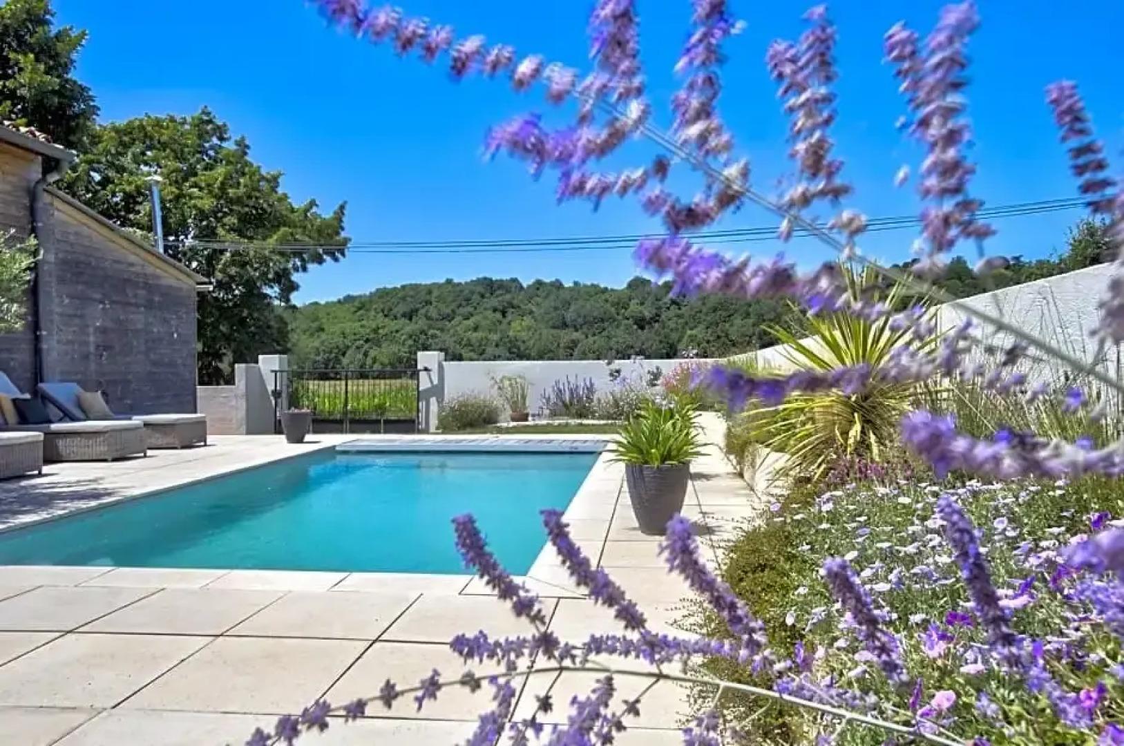 Le Chant du Coquelicot