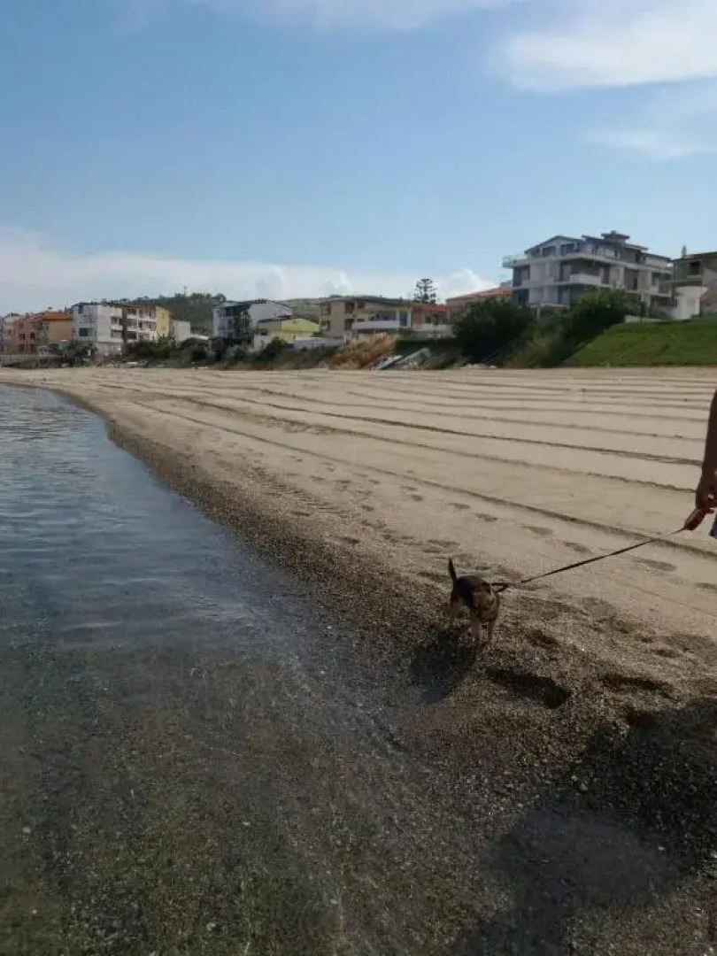 Appartamento in villa Nicola's house