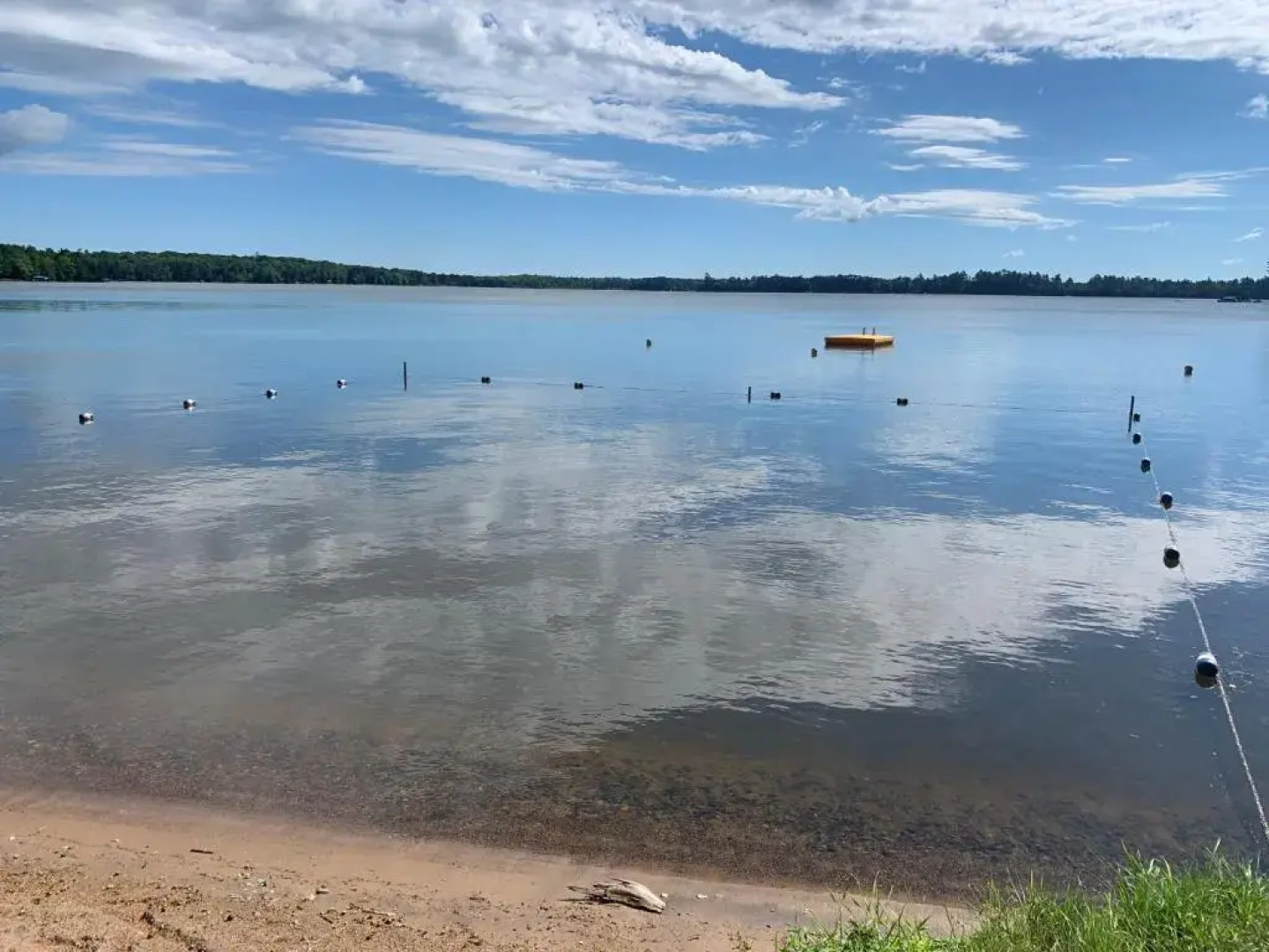 Gabe's Lost Resort - Arbor Viate #31