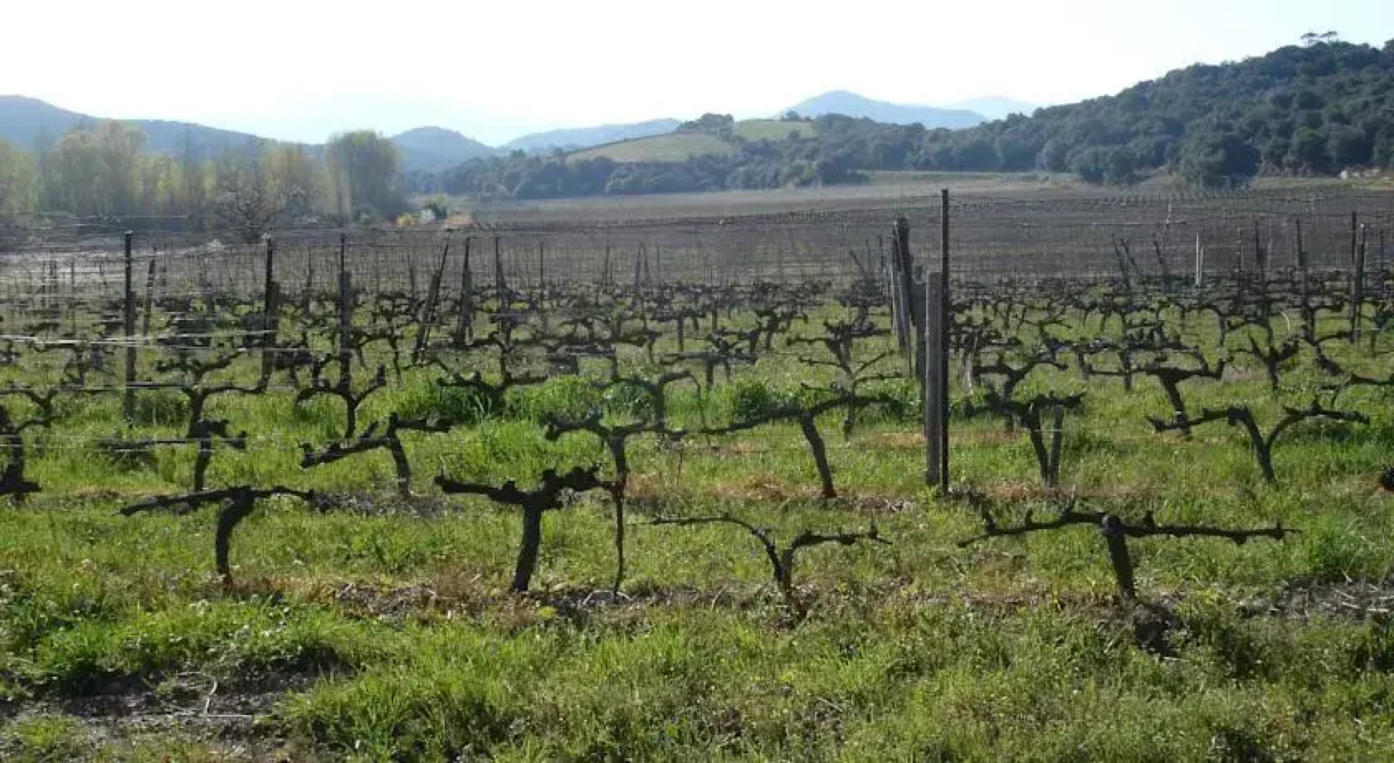 Le Saint André Chambres dHôtes