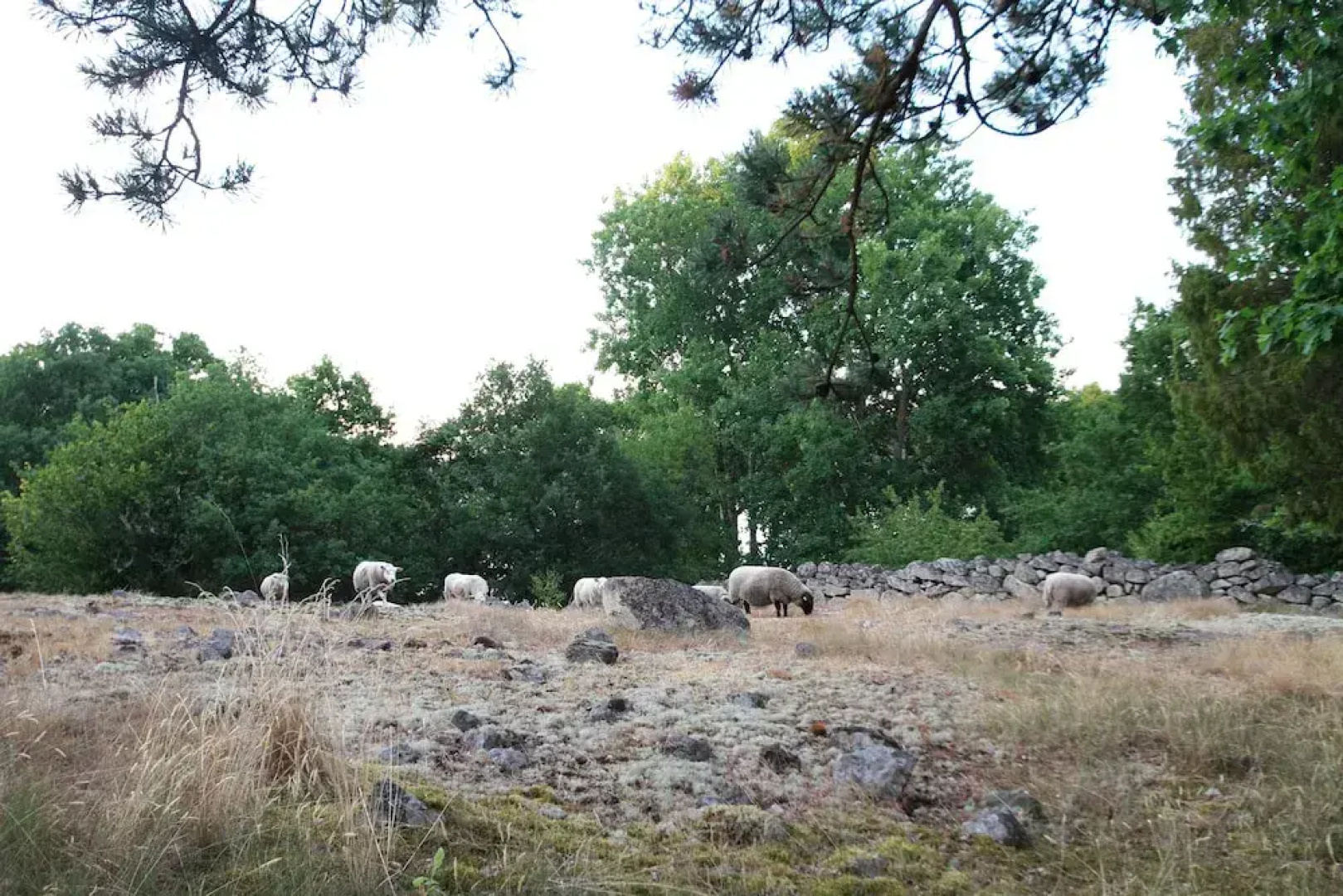 STF Tjärö Hotell & Vandrarhem