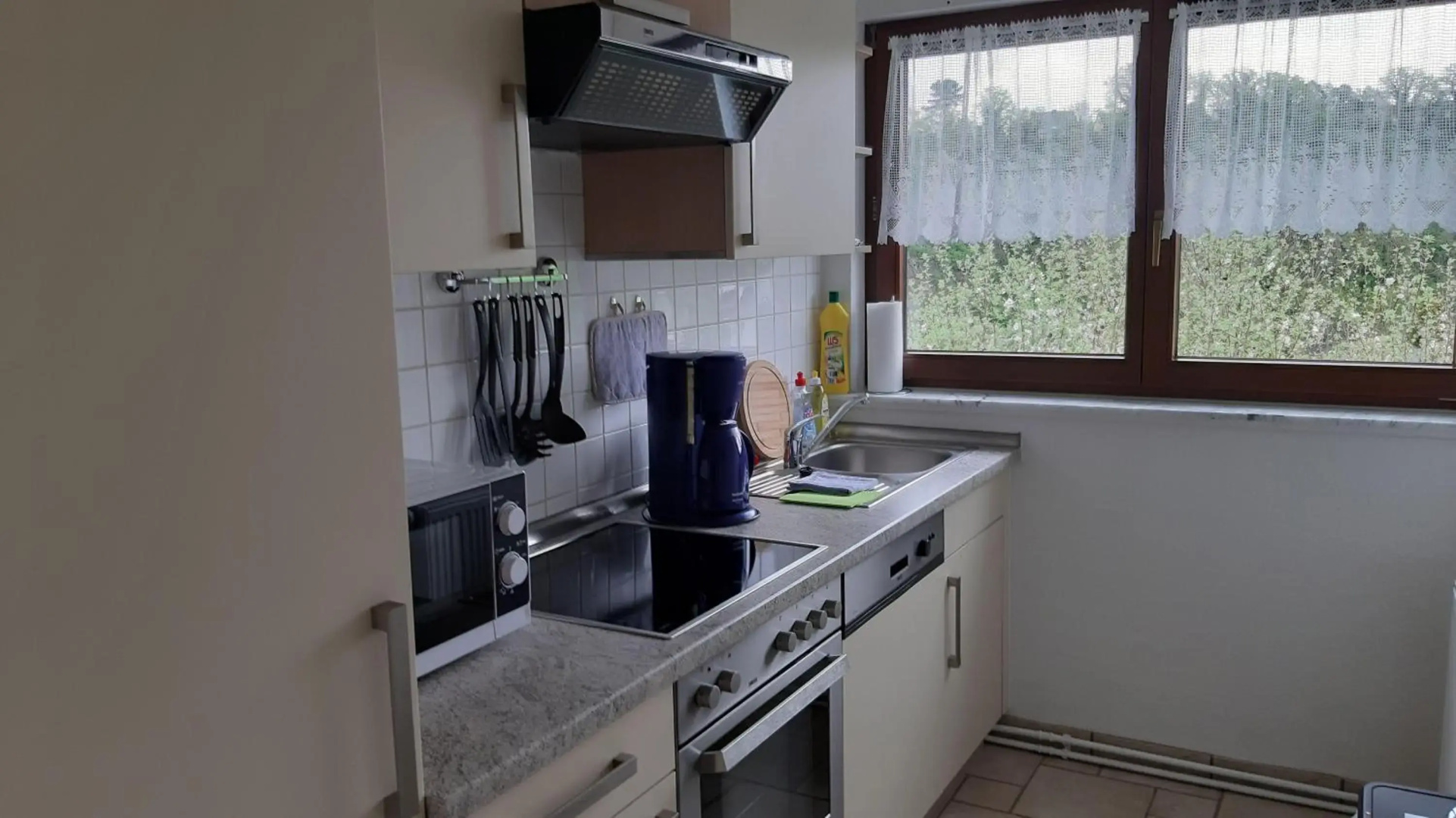 Ferienwohnung-Zweiburgenblick