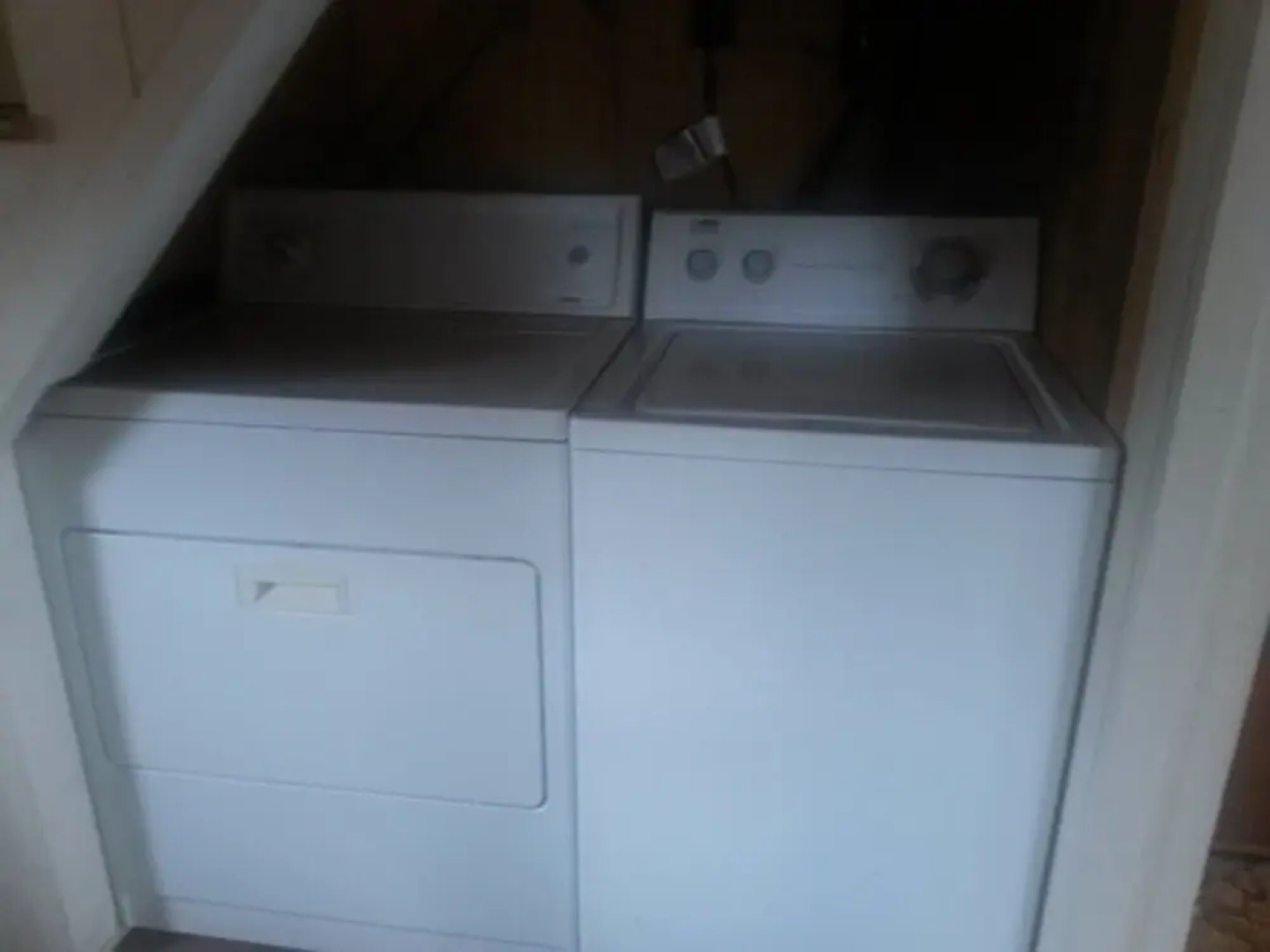 Celtic Cove Main Cabin