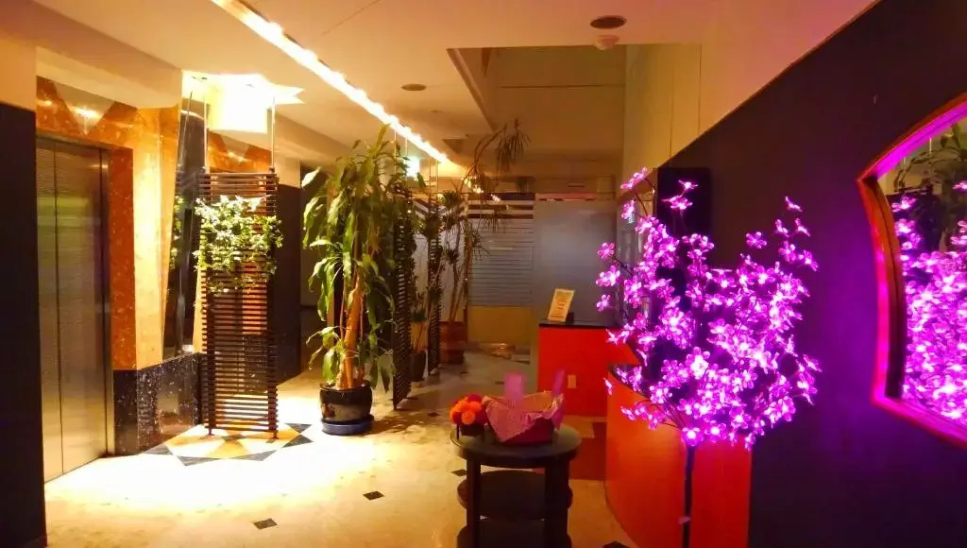 LA.FESTA - Adults Only