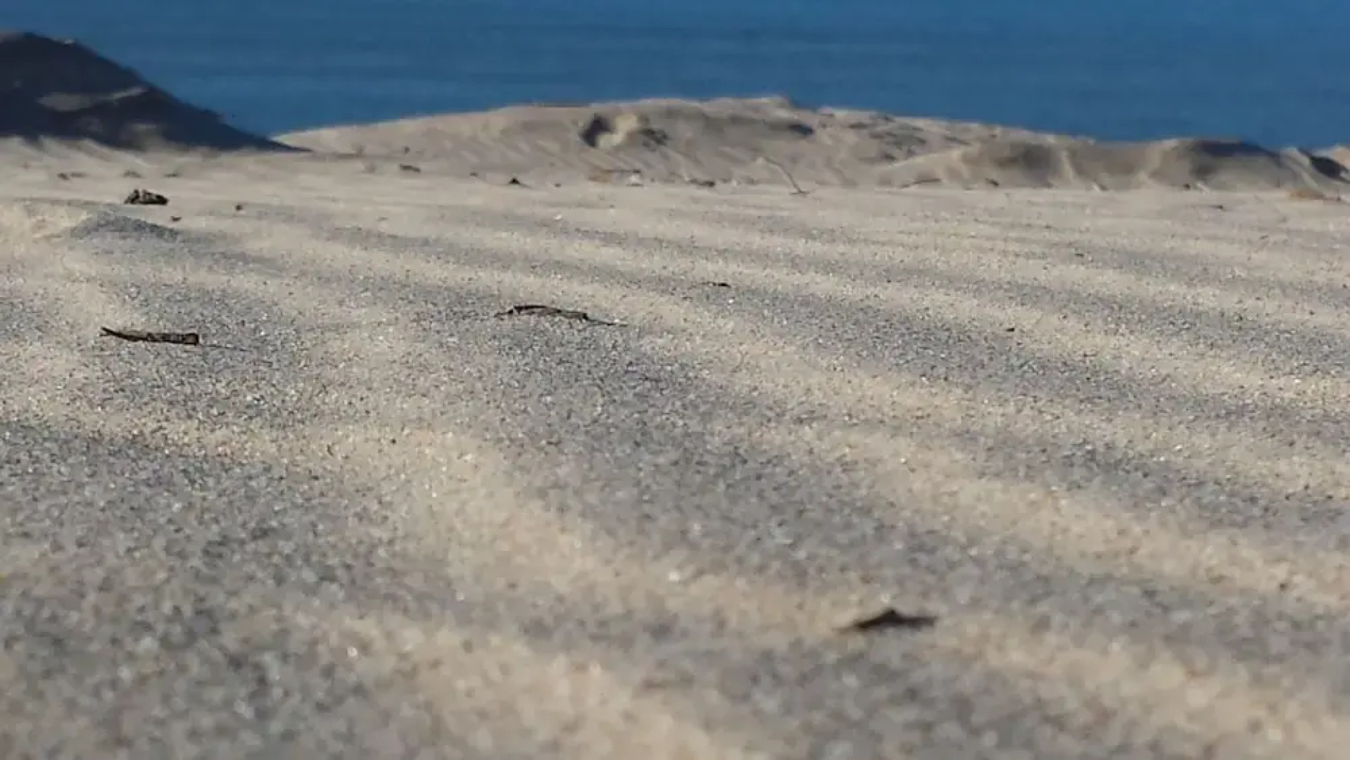 Joussac Côté Plage - Protocole sanitaire strict