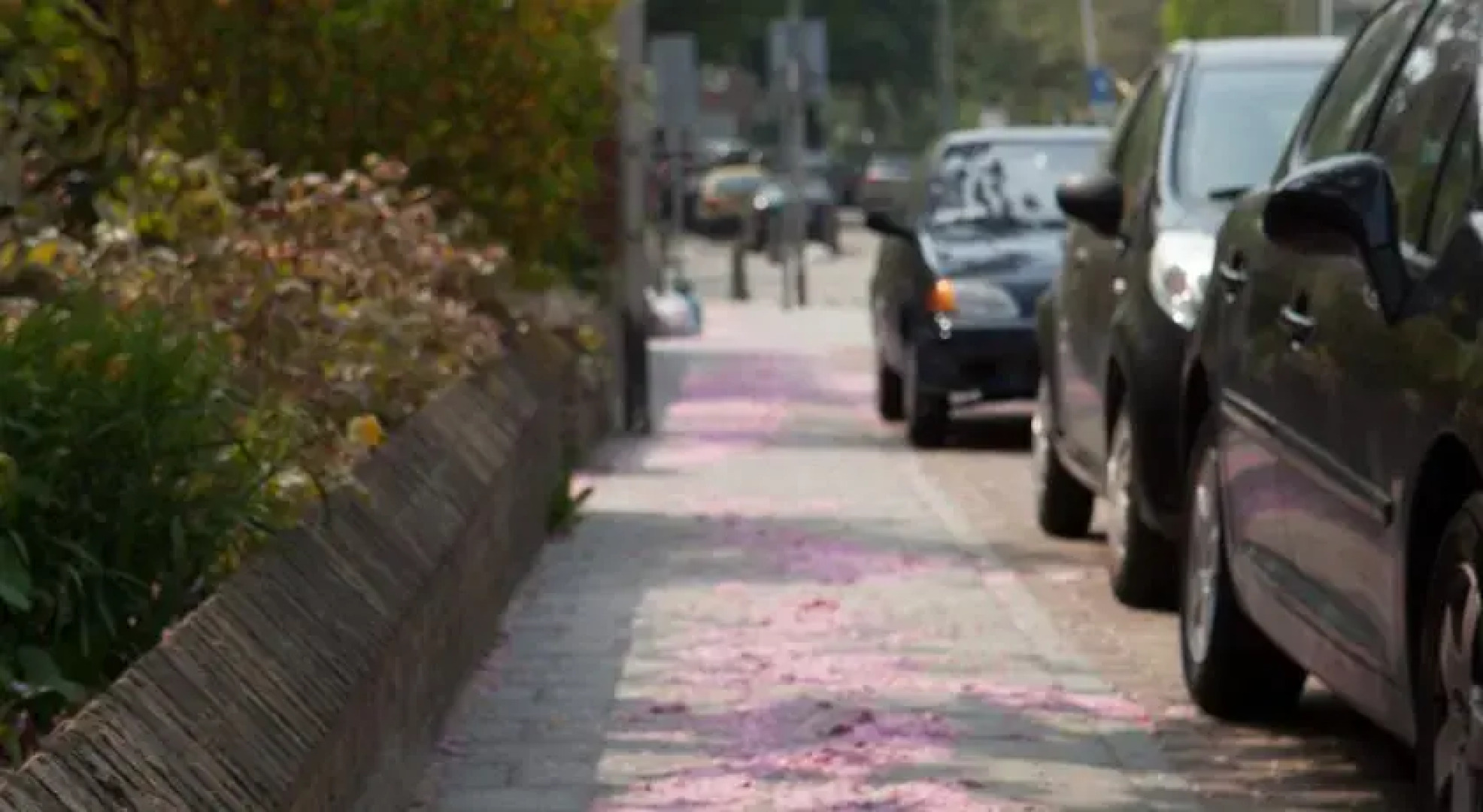 Guesthouse Deliciousstay