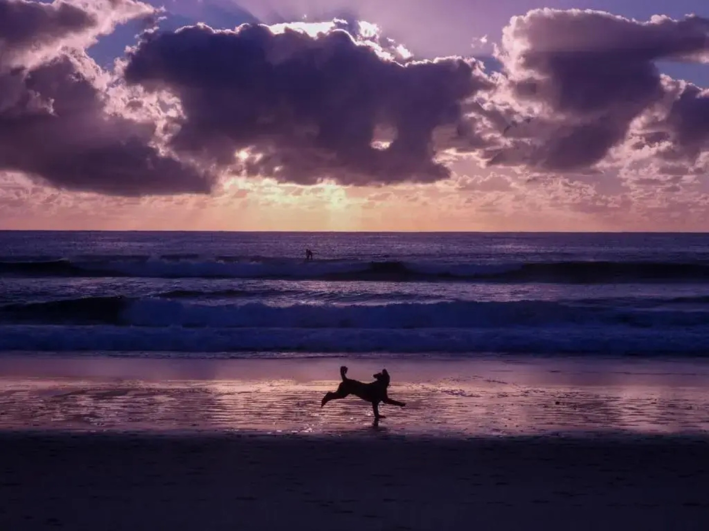 Chill-Out Beach House @ Forster