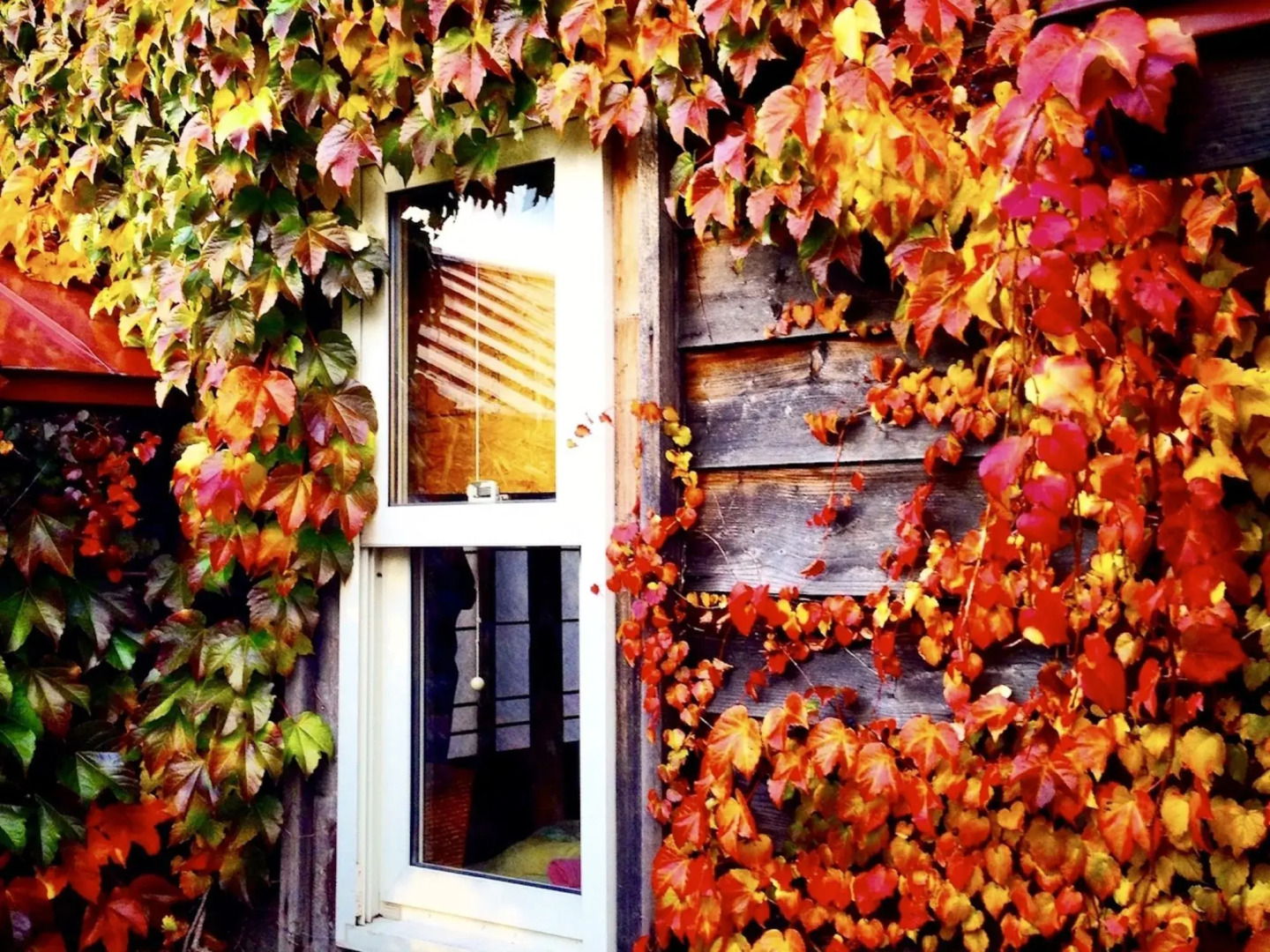 Otarunai Backpackers' Hostel MorinoKi