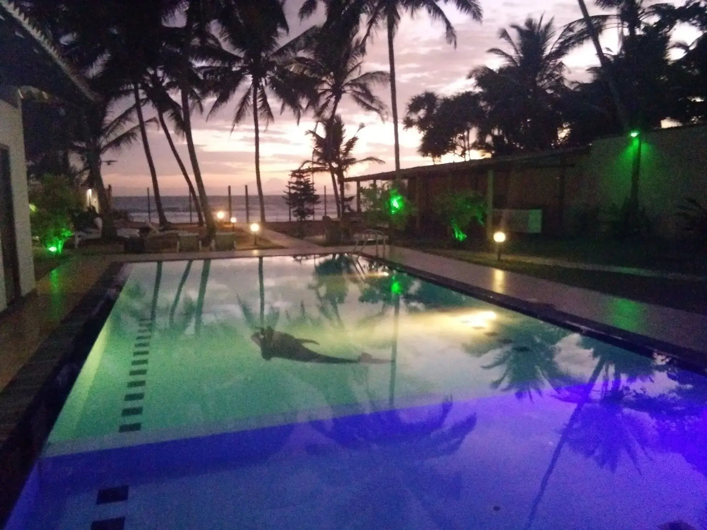 Ocean View Cottage