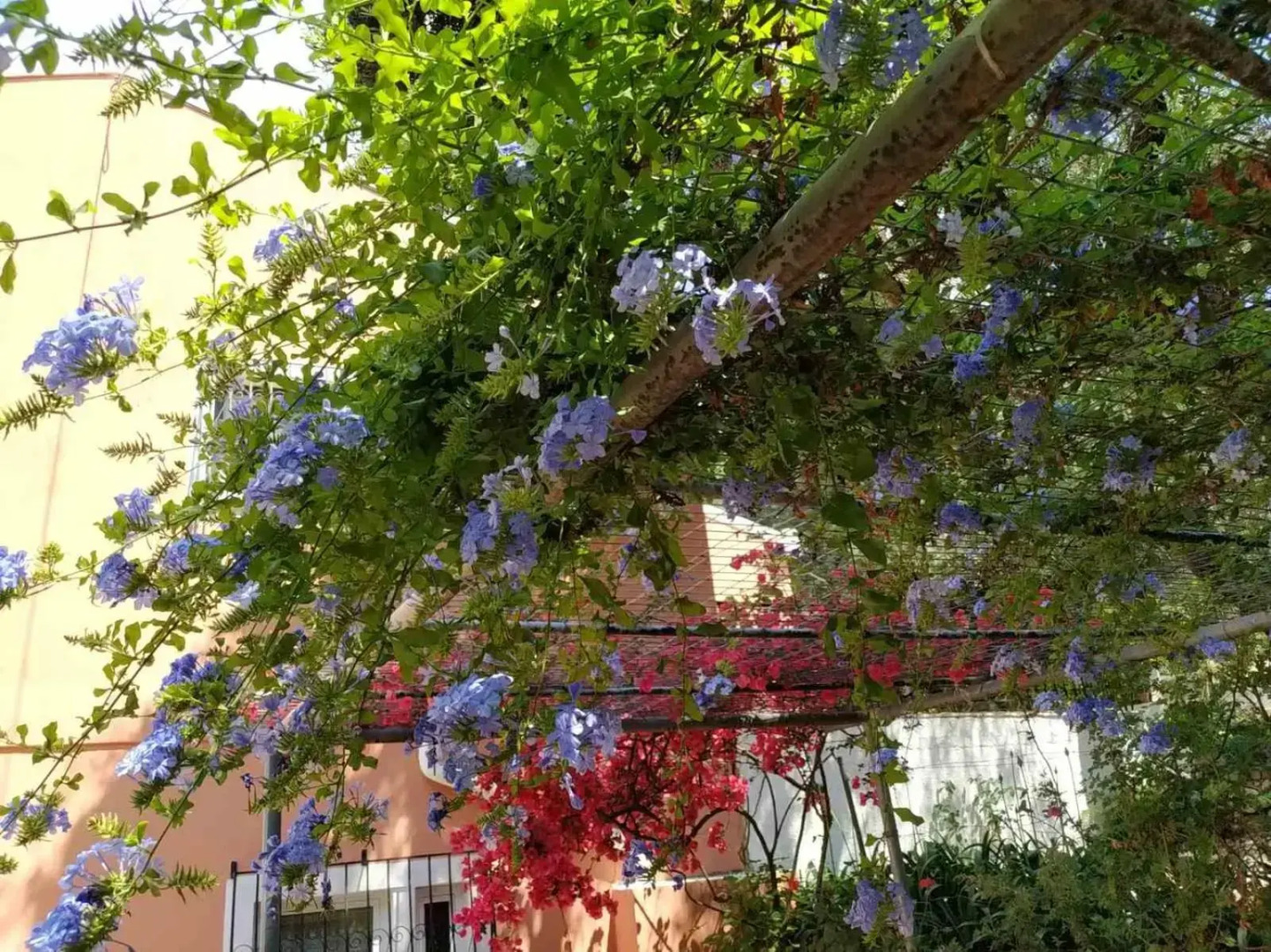 Villa Stefanos apartments