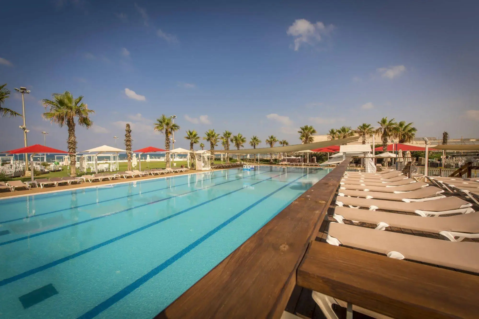 Rimonim Palm Beach Acre