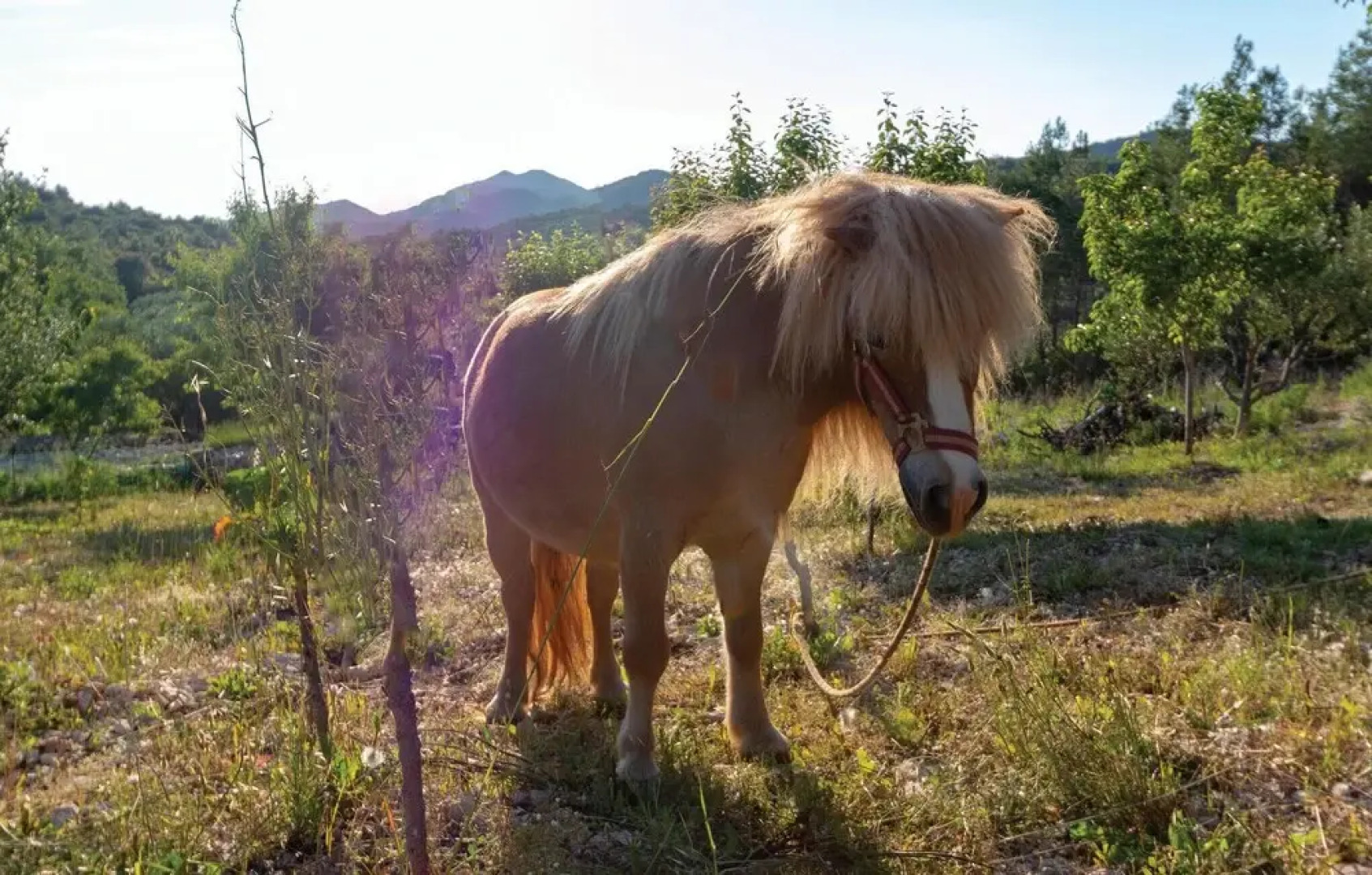 Awesome Home in Cara With Outdoor Swimming Pool, Wifi and 3 Bedrooms