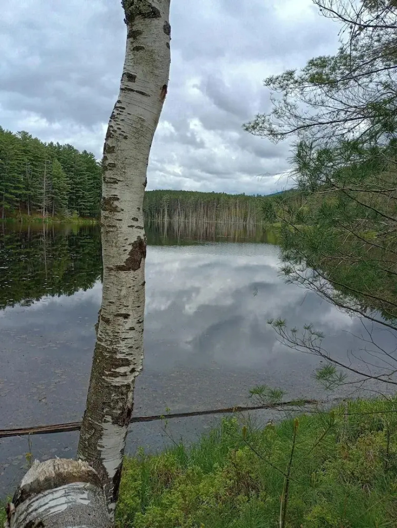 The Saints Suites at NCCC