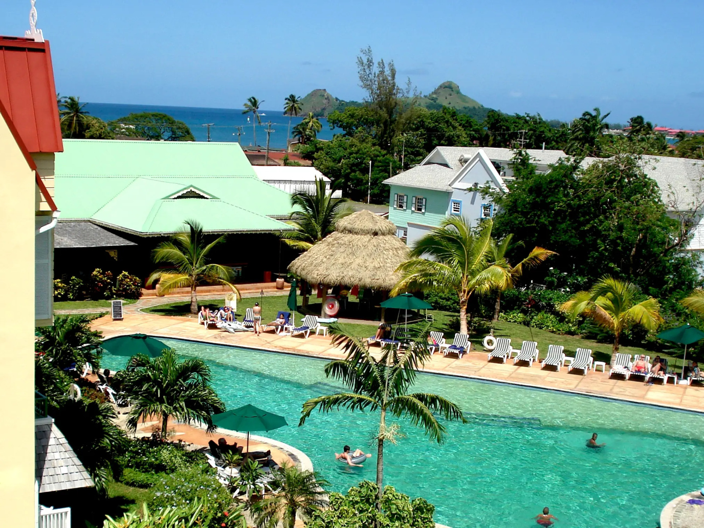 Coco Palm