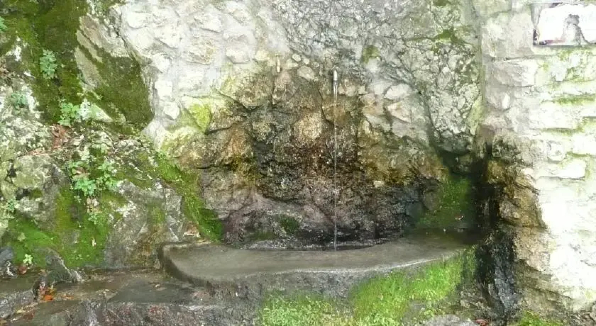 Country house il Gelsomino