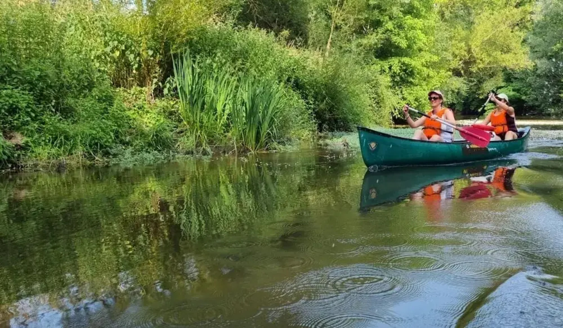 Domaine des Bois Argentés
