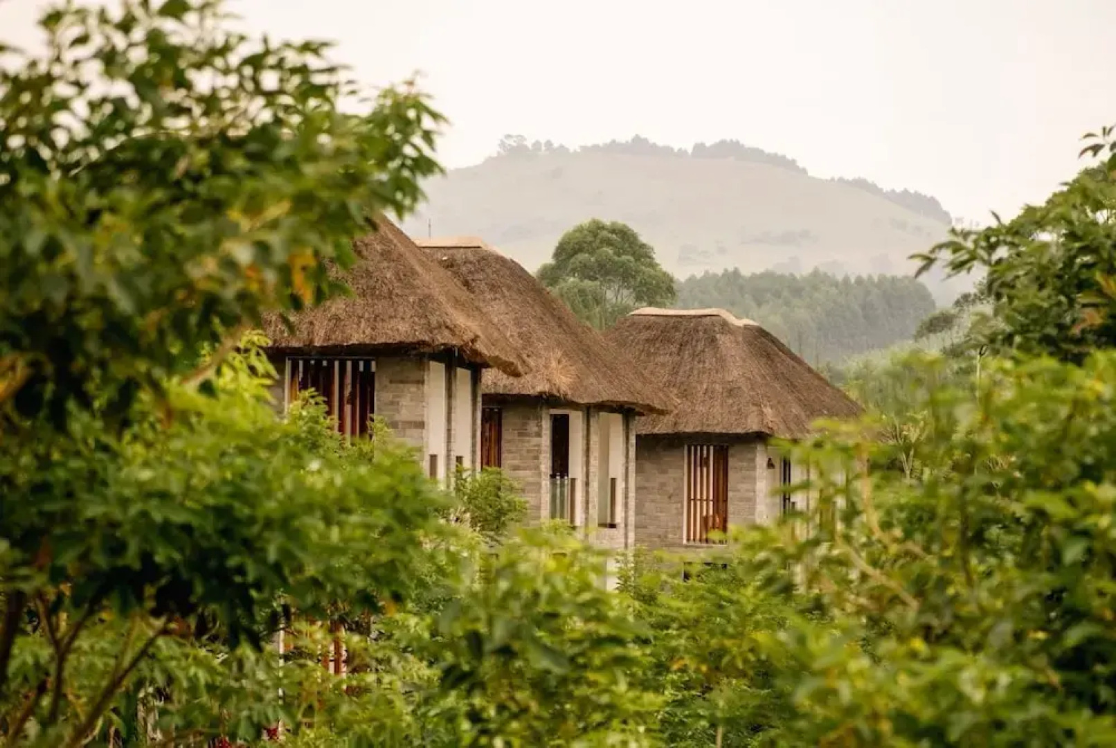 Tabebuia Spa & Safari Resort