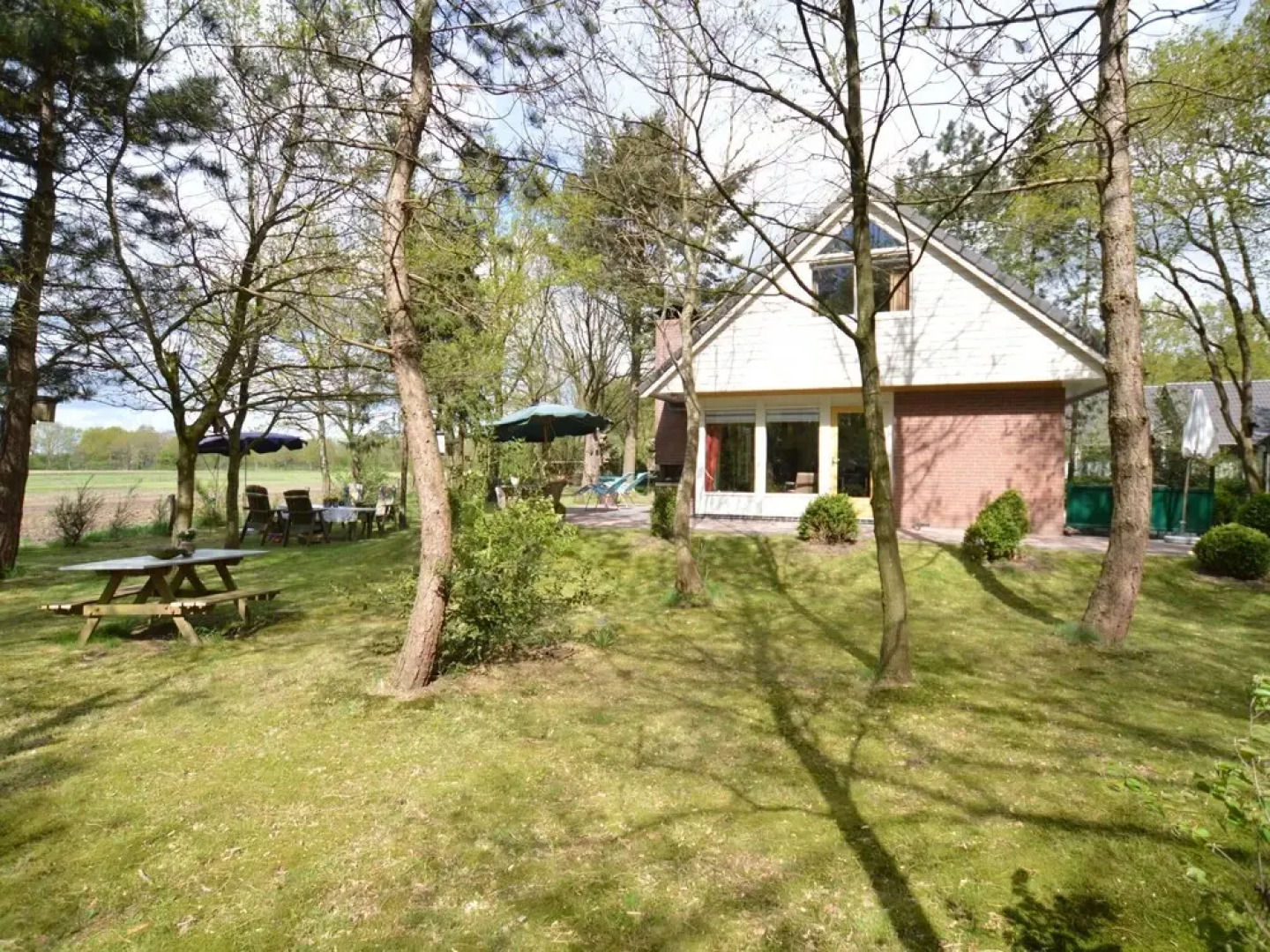 Cozy Cottage With Large Garden in Nature Reserve Dwingelderveld