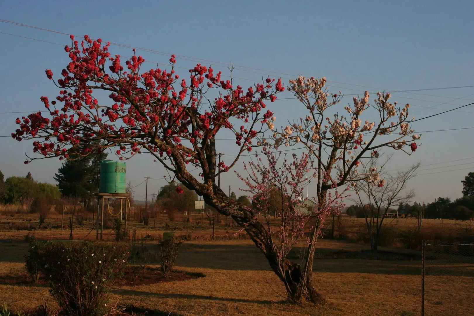 High Side Tavern and Planters Lodge