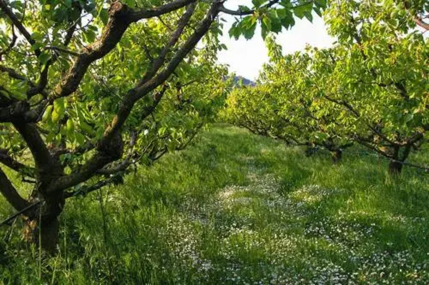 Agriturismo Casa Del Sole