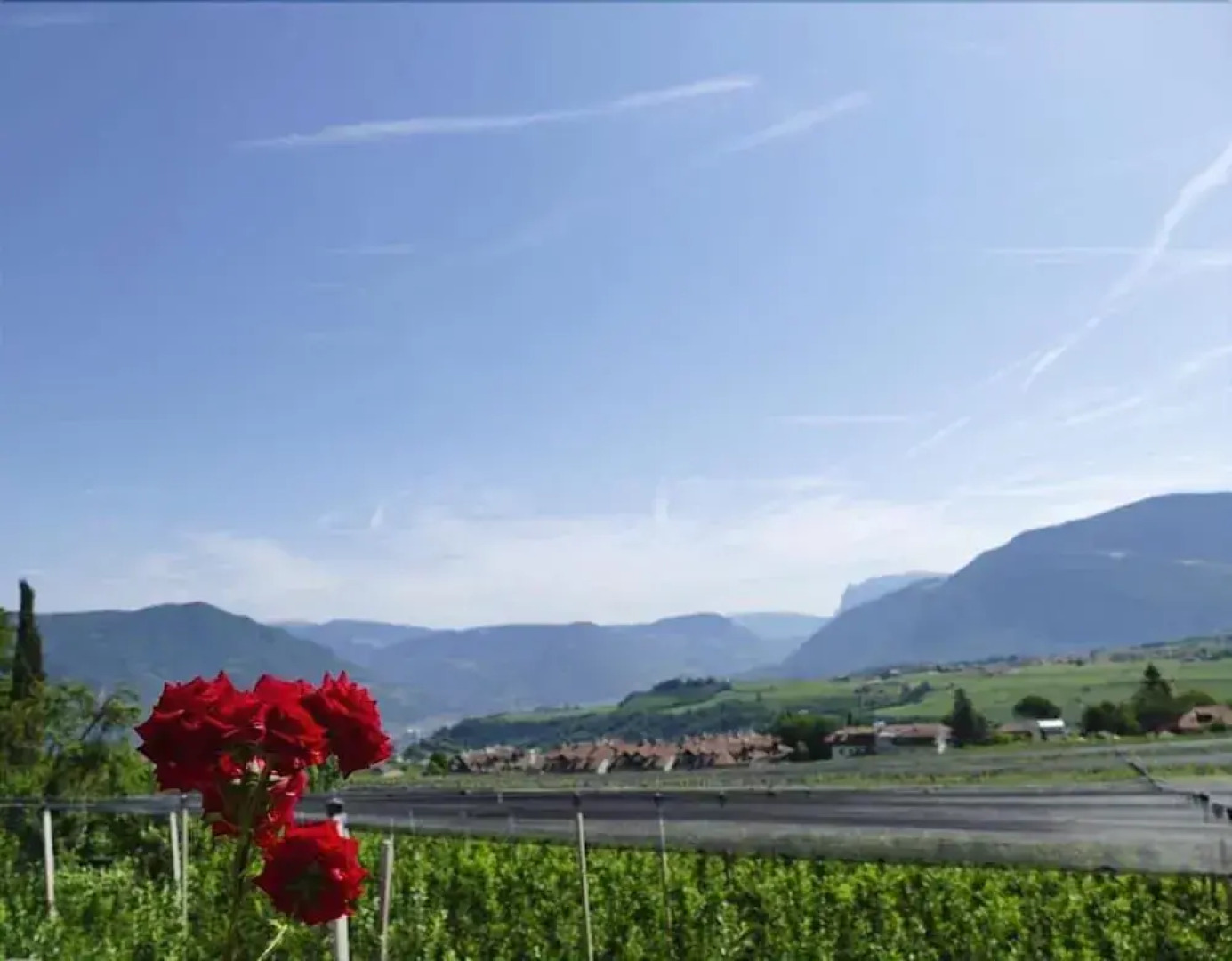 Apartment Schloss Paschbach