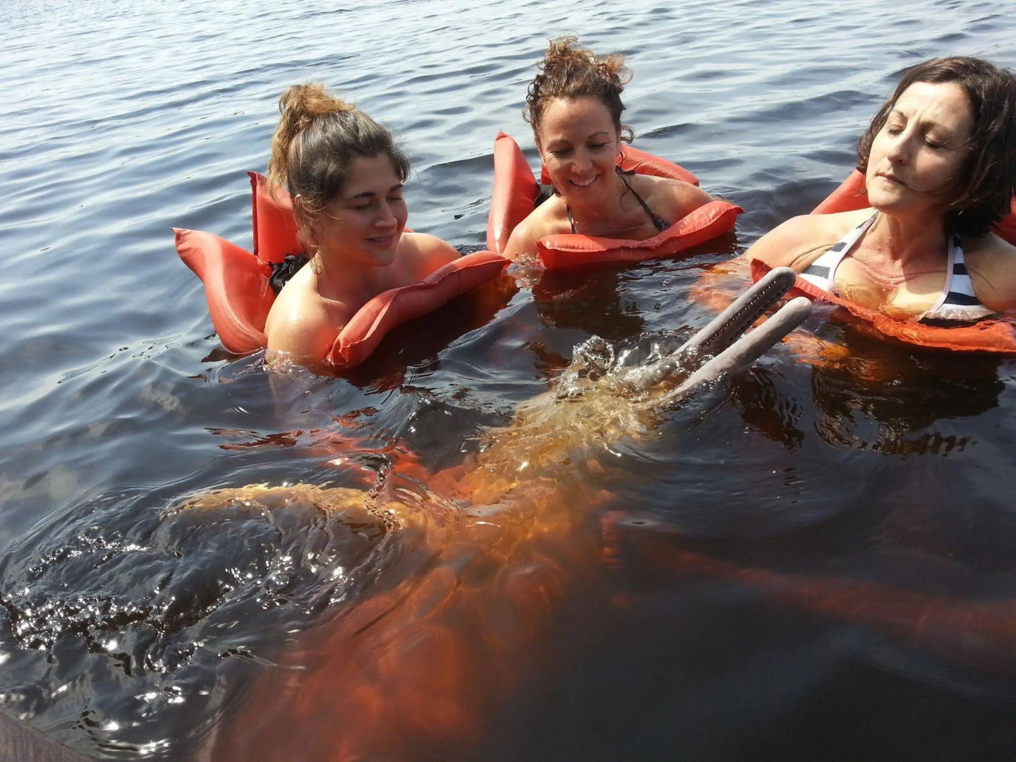 Flutuante das Bandeiras