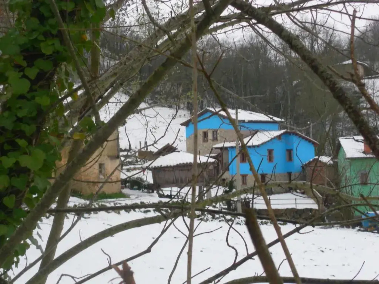 Apartamentos Rurales La Caviana