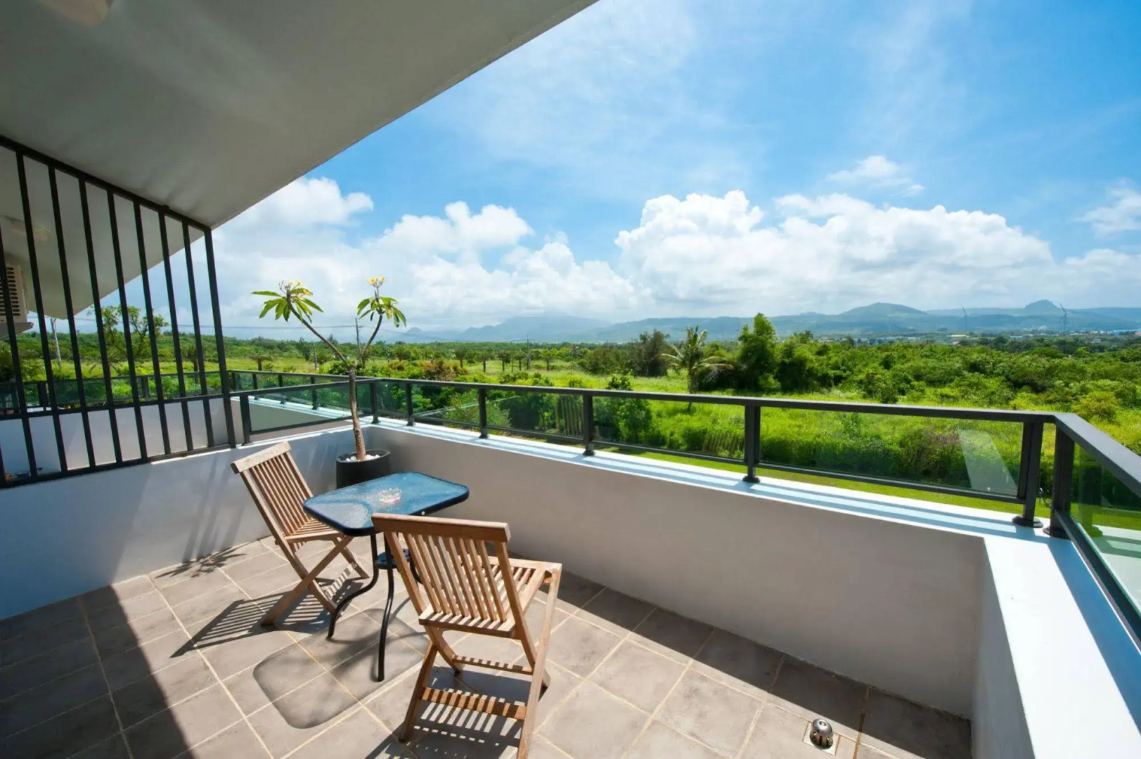 The Tree Bed and Breakfast