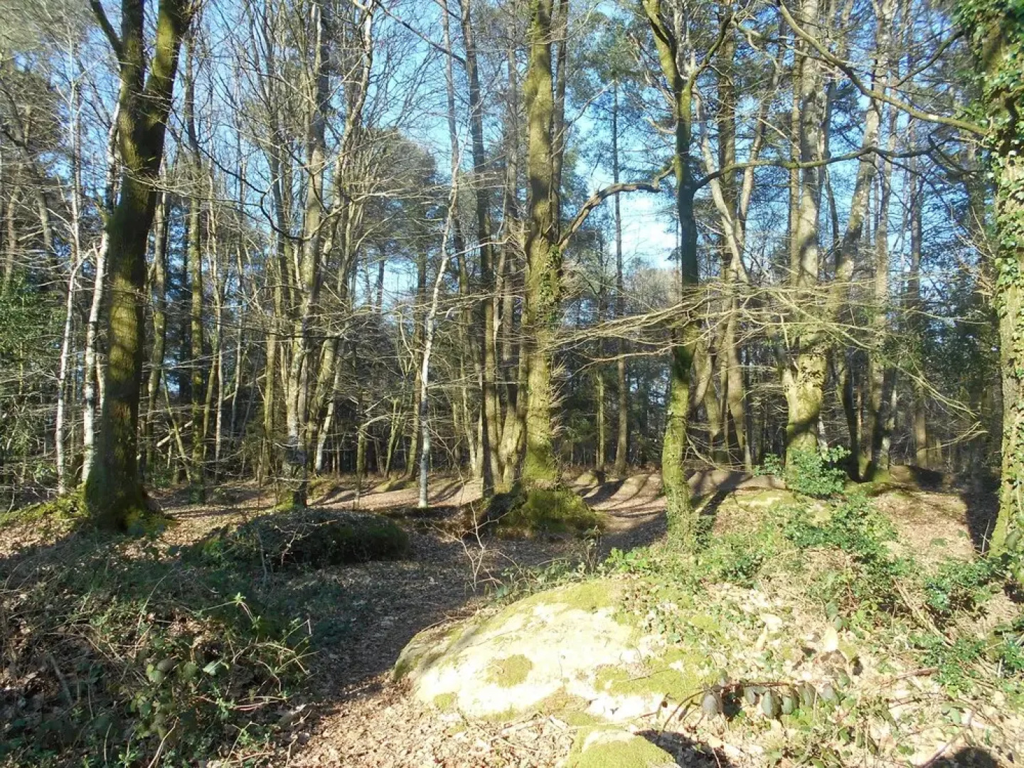 Domaine de Parc Er Bihan