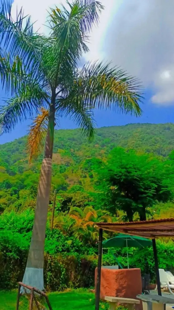 Finca Hotel Mi Cabaña Escondida