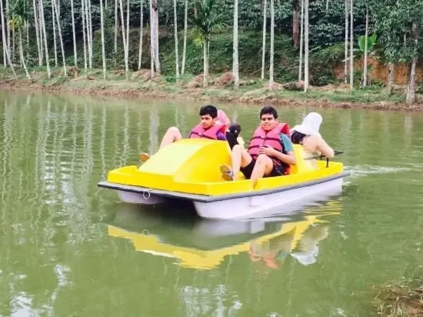 Misty Villa Estate Stay