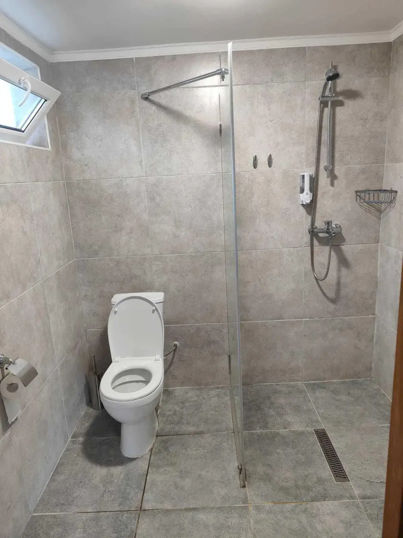 Хвоя