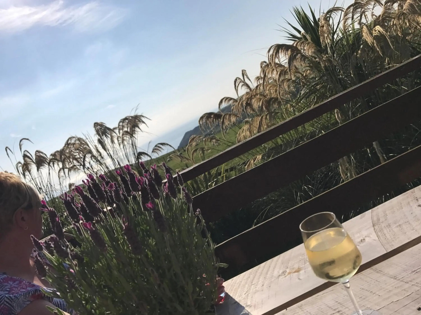 Lodge Cabin with Fabulous Views - Farm Holiday