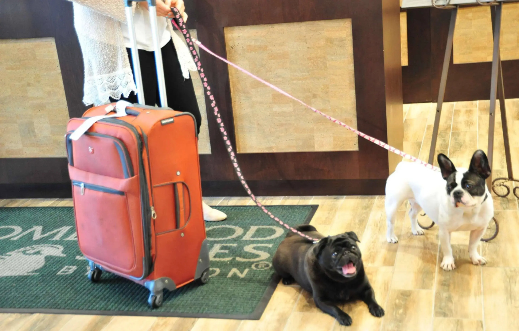 Homewood Suites by Hilton Hamilton, NJ