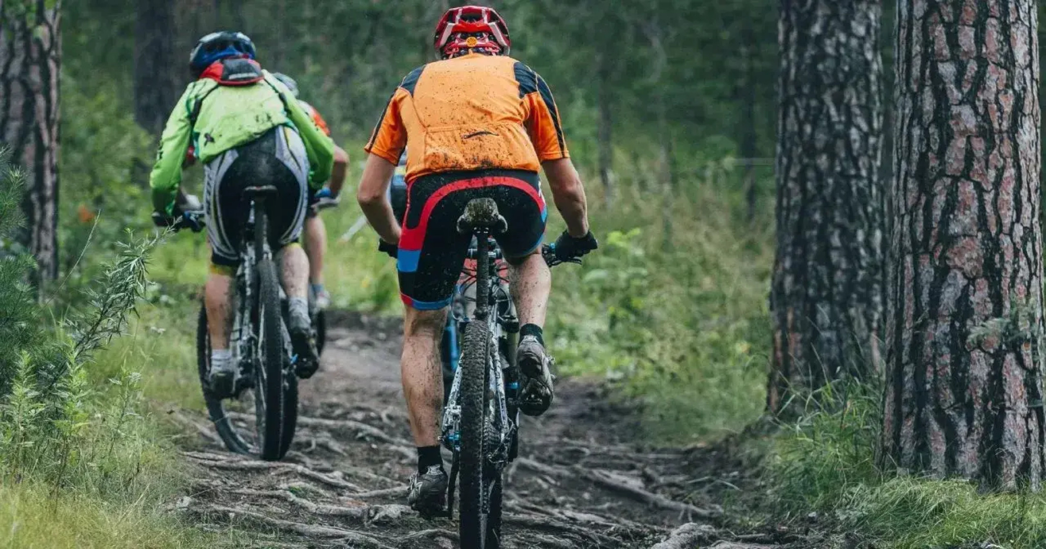 Sunset Inn Flatonia By Magnuson Worldwide