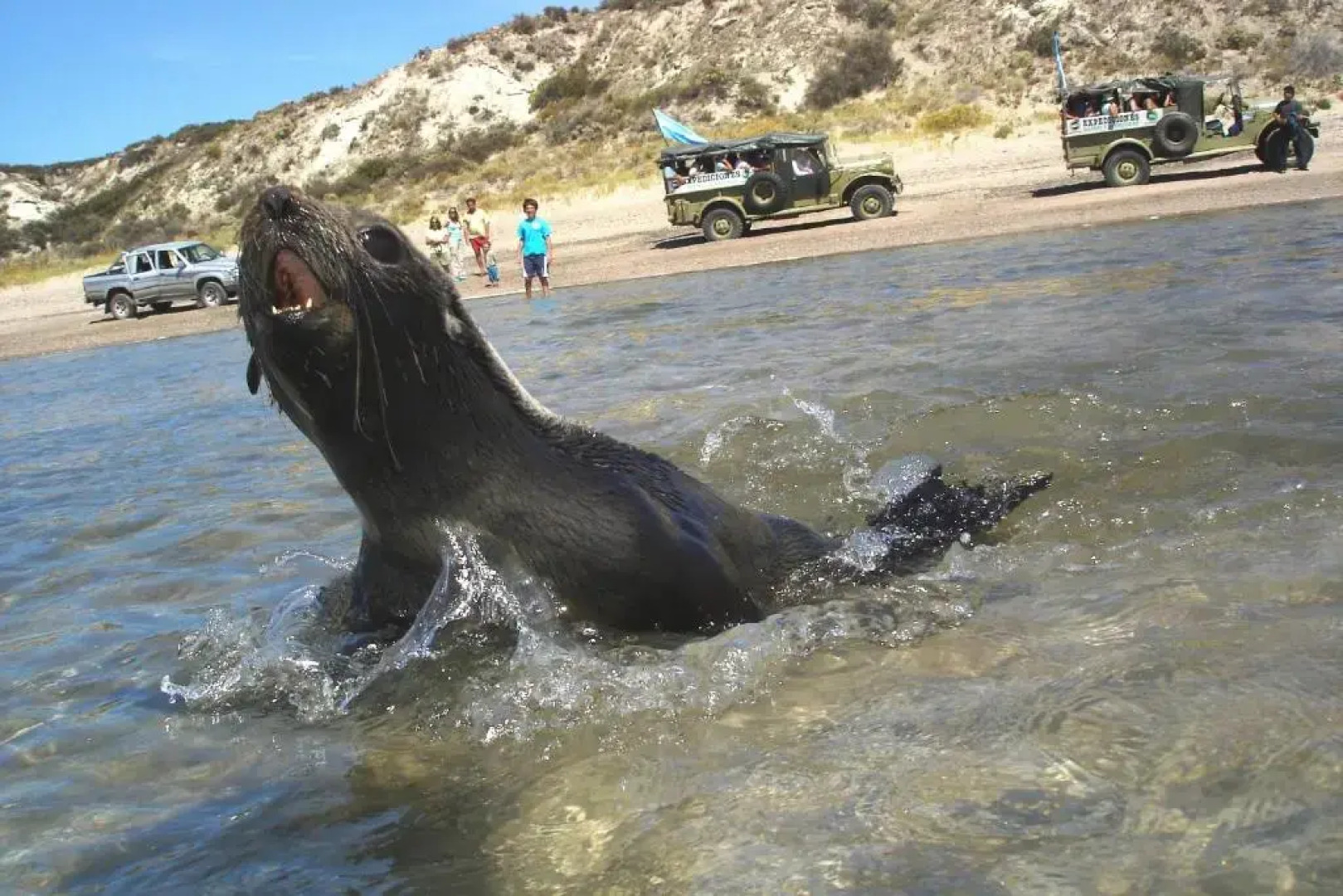 Desert Tracks Rancho
