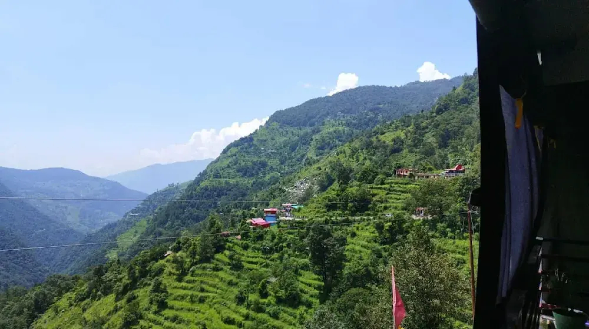 Pine Tree Homestay