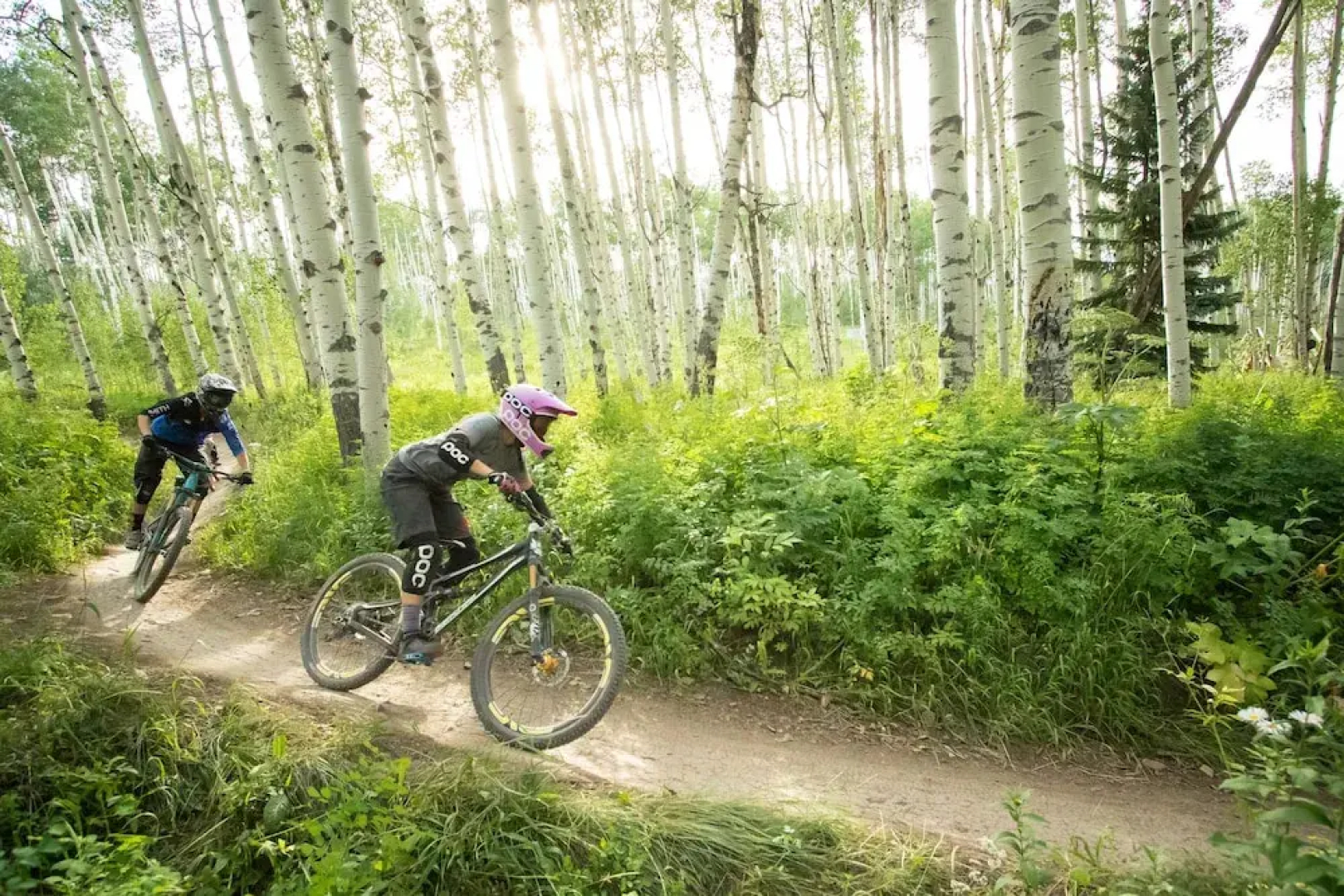 Snowmass Mountain Chalet