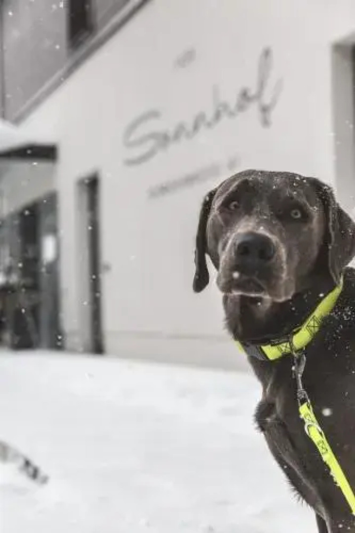 Verwöhnhotel Sonnhof