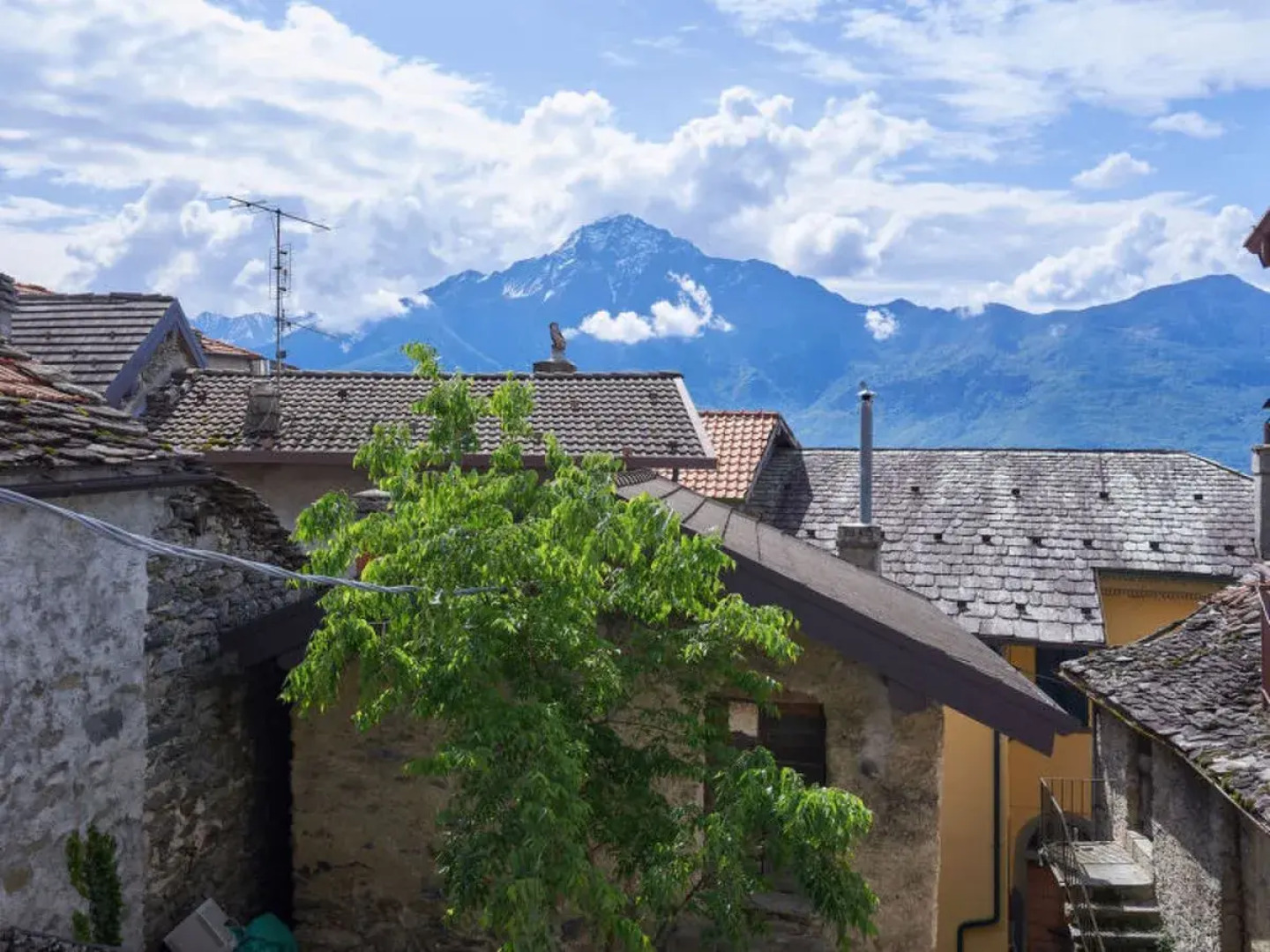 Rustico Maria (DMA392)