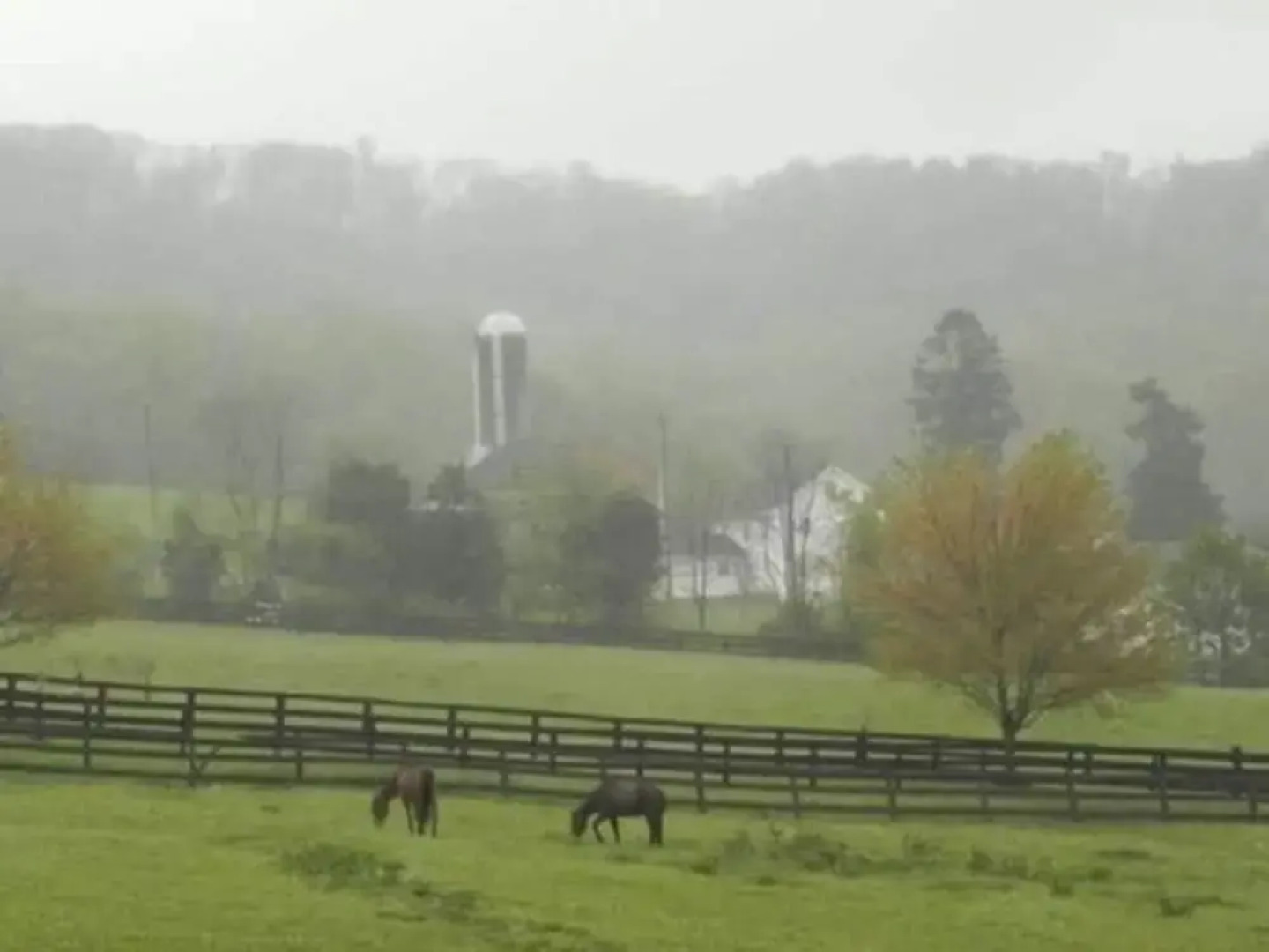 The Dragonfly Bed and Breakfast