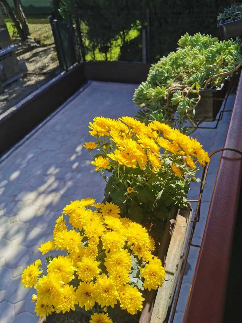 007 Apartments - Strumica