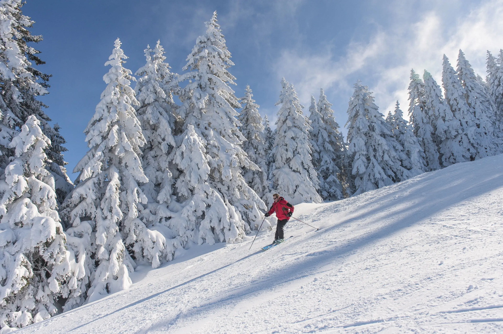 VVF Villages Les Monts Du Jura Lélex