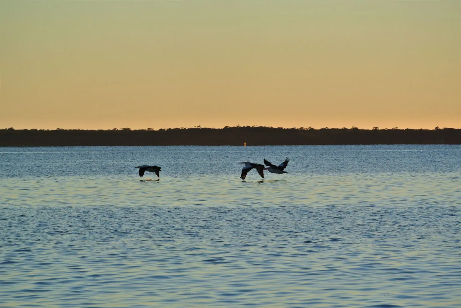 Huskisson Beach Motel